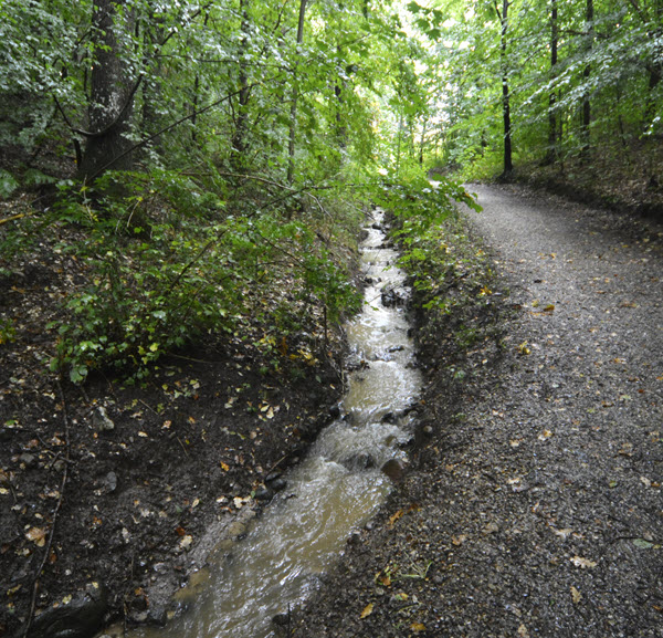 Foto af vandløb med fald, hvor vandet strømmer, ved siden af en sti og i en grøn skov.